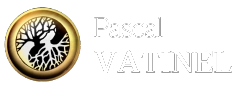 Logo blanc Pascal Vatinel, artiste plasticien à Paris