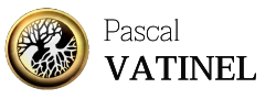 Logo Pascal Vatinel, artiste plasticien à Paris