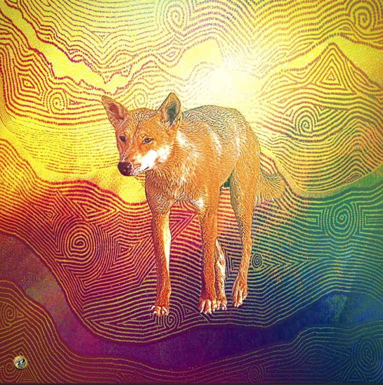 Dingo toile de Pascal Vatinel