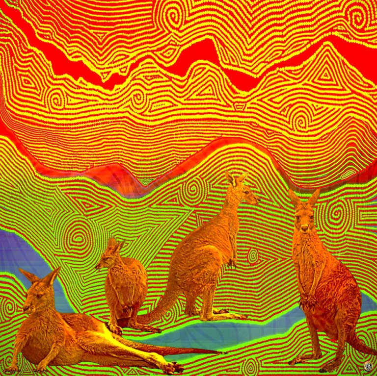 Kangaroos toile de Pascal Vatinel