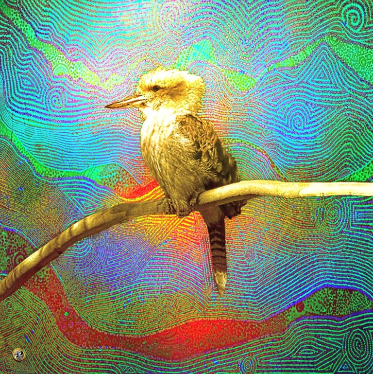 Kookaburra toile de Pascal Vatinel