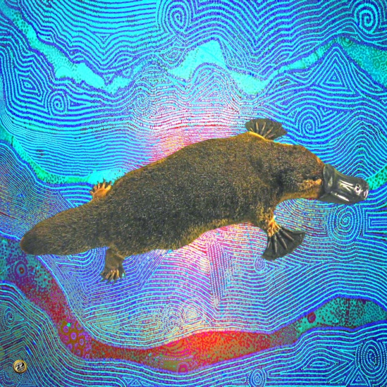 Platypus toile de Pascal Vatinel