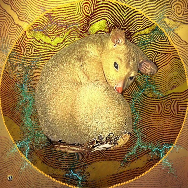 Possum toile de Pascal Vatinel