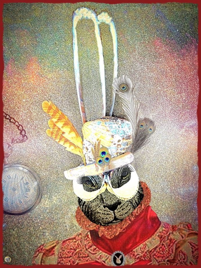 le beau bibi de mme lapin blanc 285
