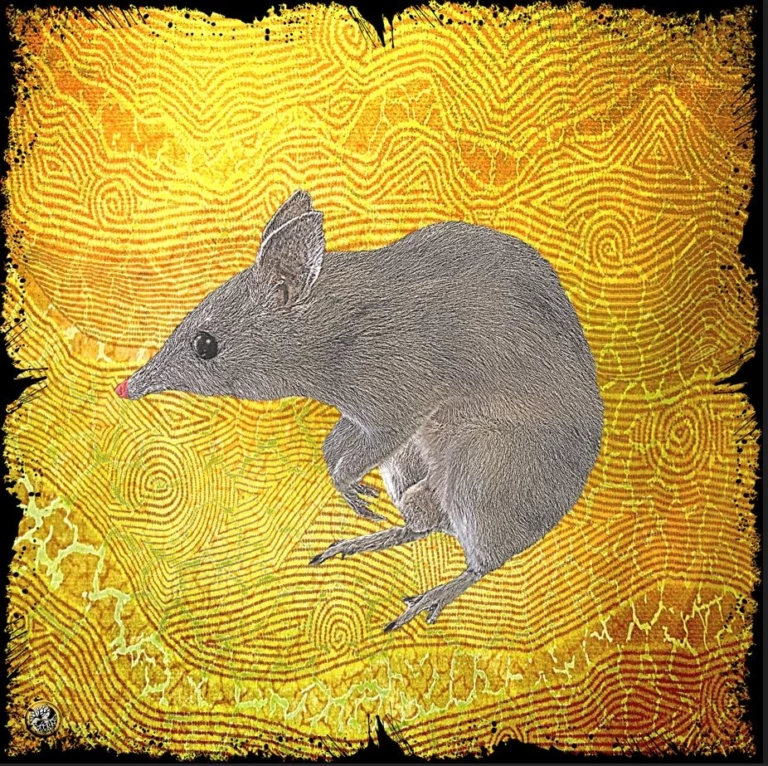 Bilby