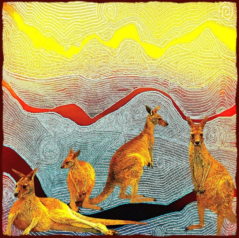 Kangaroos
