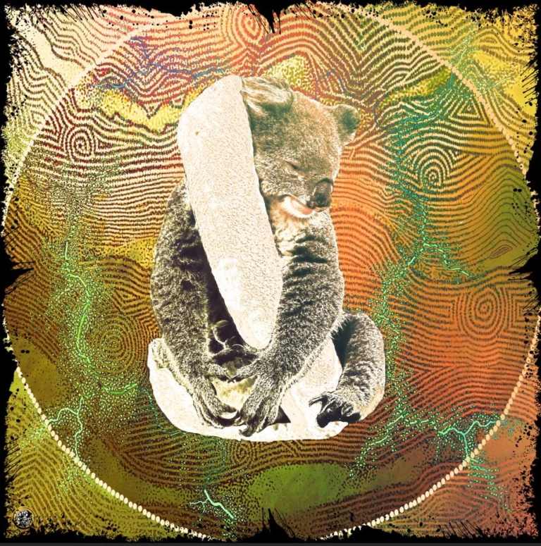 Koala