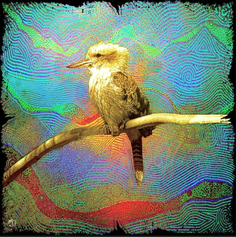 Kooka